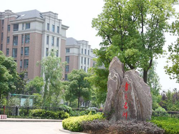 山东案例